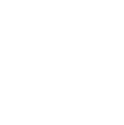 Ibis