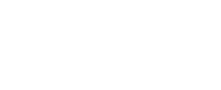 SES Surveillance Électricité Services